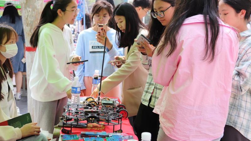新手数据可视化常用技巧